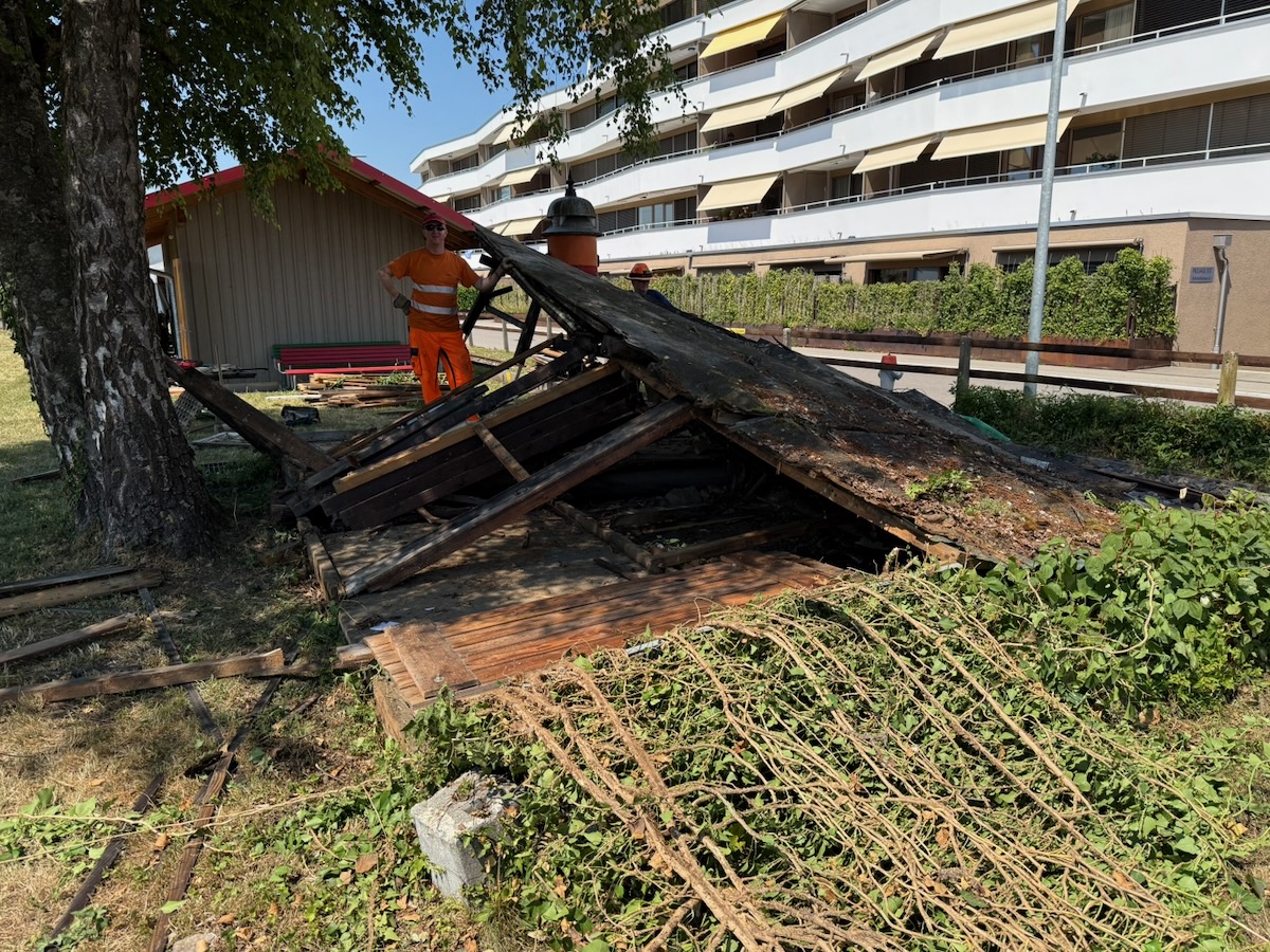 265585_Abbruch altes Gartenhaus